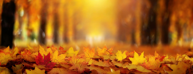 Similar image 21997833