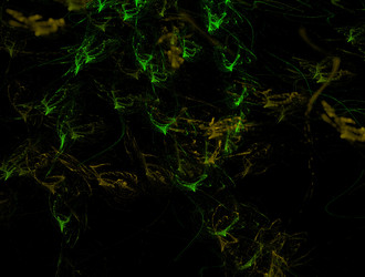 Similar image 22011466