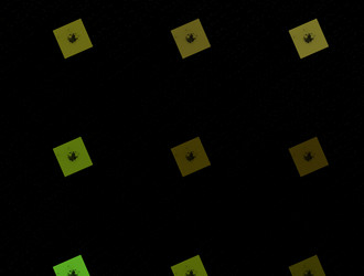 Similar image 22005652