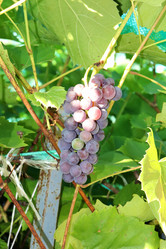 Similar image 21995849