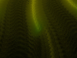 Similar image 22010403