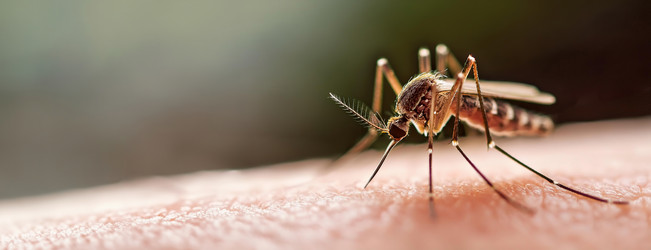 Similar image 21997781