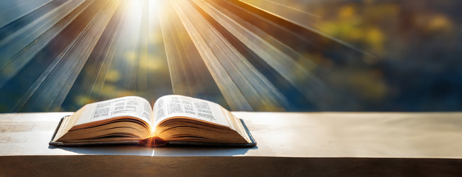 Similar image 21997794