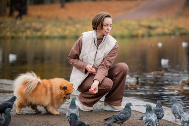 Similar image 22006090