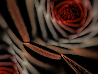 Similar image 22005501