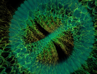 Similar image 22010410