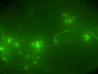 Similar image 22010435