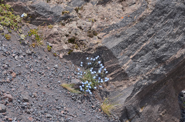 Similar image 21993827