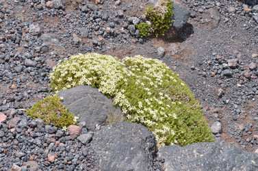 Similar image 21993828