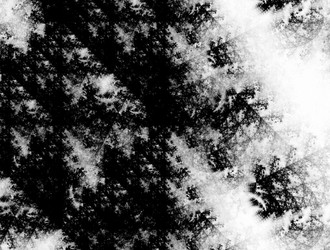 Similar image 22004897