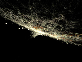 Similar image 22004905