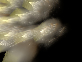 Similar image 22004907