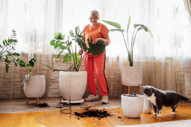 Similar image 22012393