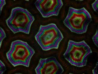 Similar image 22005693