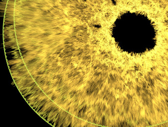 Similar image 22005697