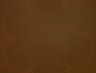 Similar image 22010482