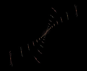 Similar image 22003320