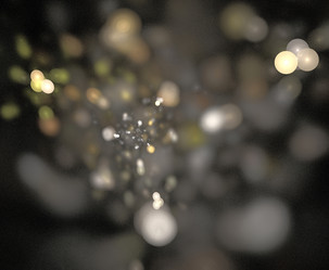 Similar image 22003712