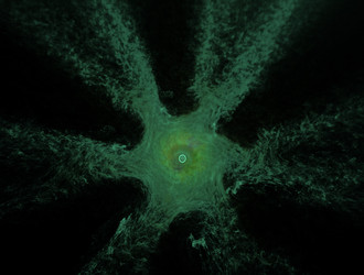 Similar image 22004915