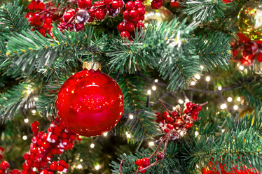 Similar image 21997061