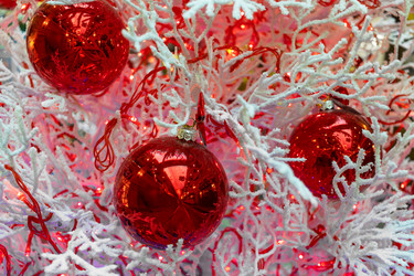 Similar image 21997063