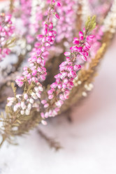 Similar image 21997111