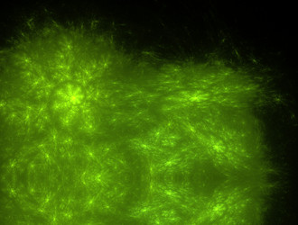 Similar image 22010521