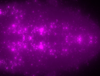 Similar image 22005745