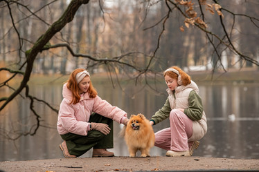 Similar image 22006094