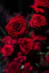 Similar image 22001887