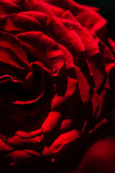 Similar image 22001890