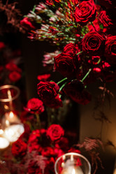 Similar image 22001895