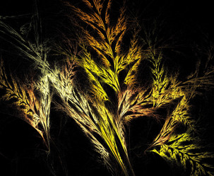 Similar image 22003210