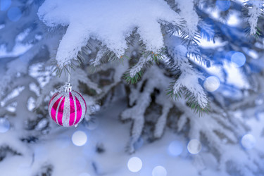 Similar image 21997220