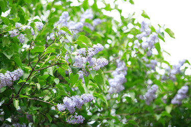 Similar image 22003503