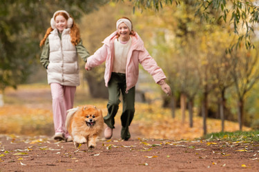 Similar image 22006101