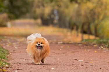 Similar image 22006103