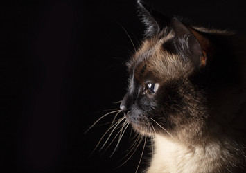 Similar image 21992875