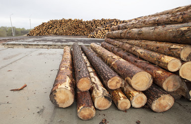 Similar image 21992300