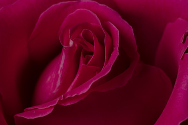 Similar image 21992301