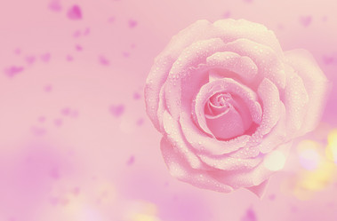 Similar image 21992305