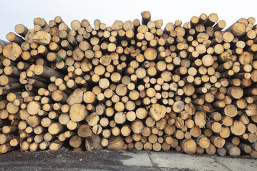 Similar image 21992687