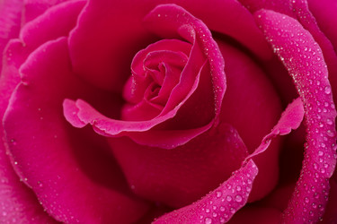 Similar image 21992688