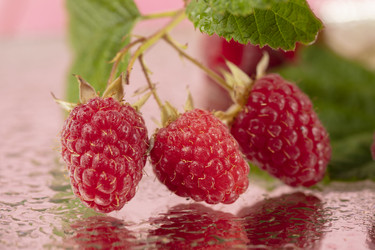 Similar image 21992703