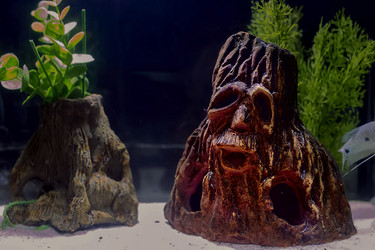 Similar image 21992340