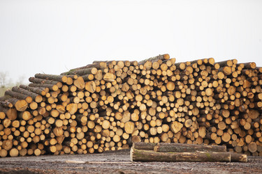 Similar image 21992360