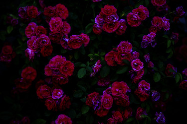 Similar image 21992731