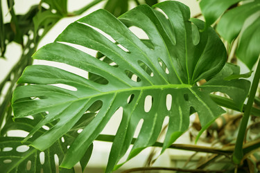 Similar image 21992736