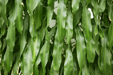 Similar image 21992738