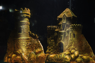 Similar image 21992406